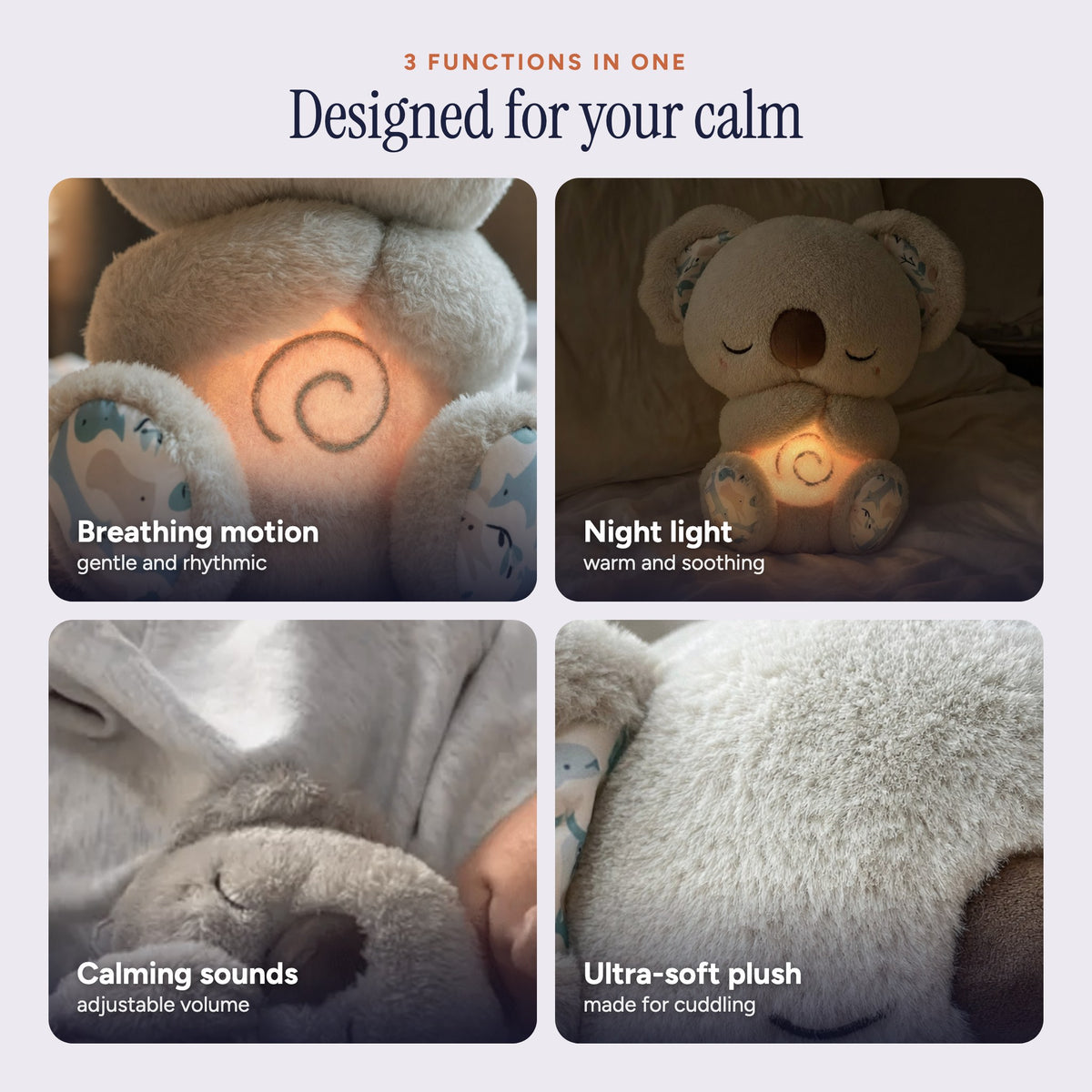 Calm Koala