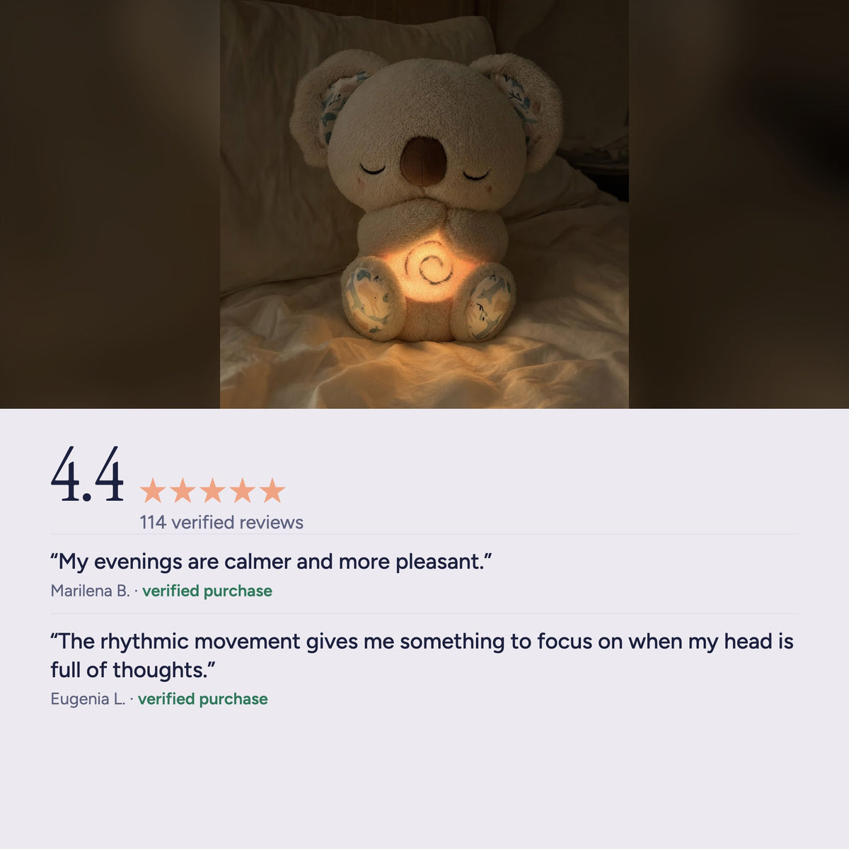 Calm Koala