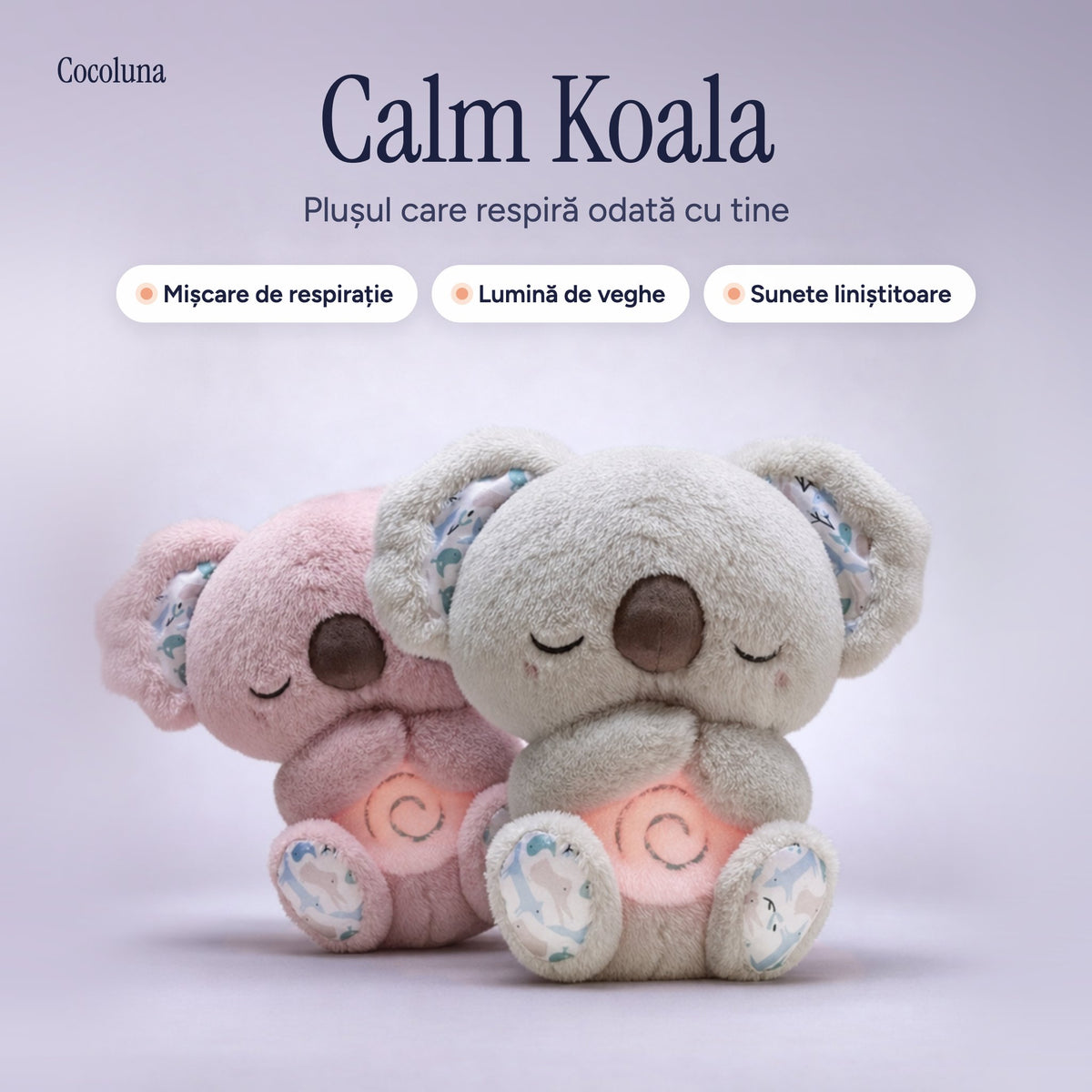 Koala care respiră